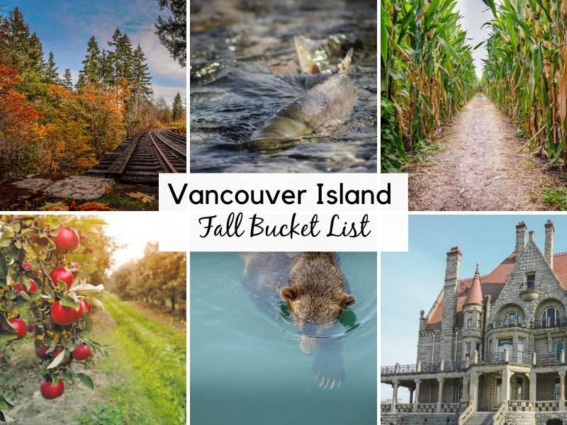 Dive into the heart of Vancouver Island's fall adventures! Take this quiz to discover the perfect activities and products that match your autumn wanderlust.