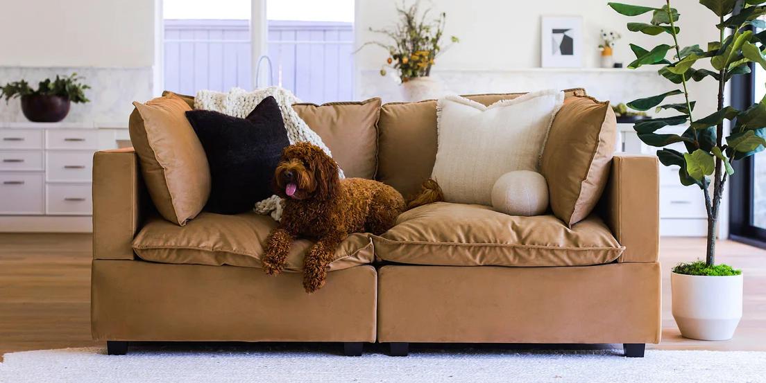 Good Gifts For Cat Owners Reddit