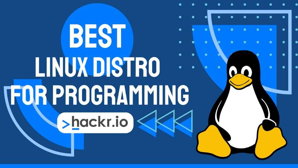 Finding the right Linux distribution can make or break your programming experience. Take this quiz to discover which Linux distro fits your coding style!