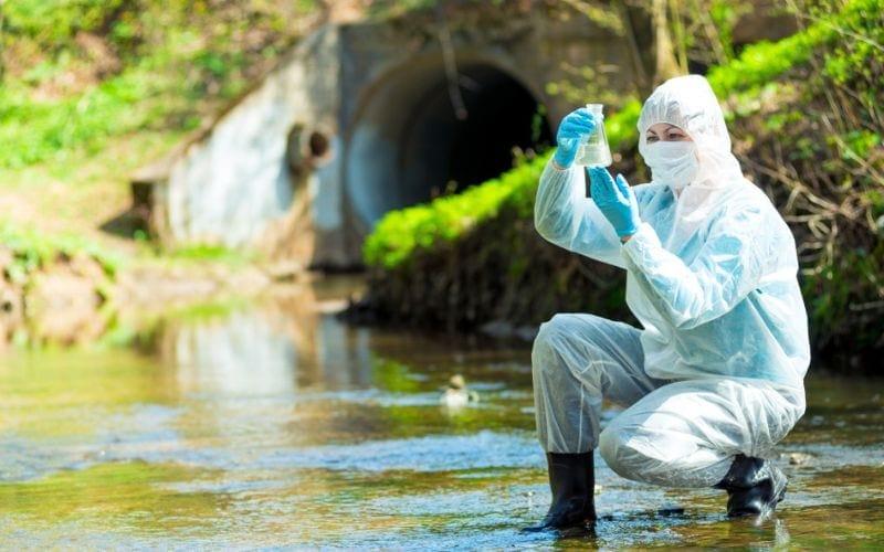 Are you ready to embark on a transformative academic journey? Take our quiz to find the perfect Online PhD program tailored to your aspirations in Environmental Science!