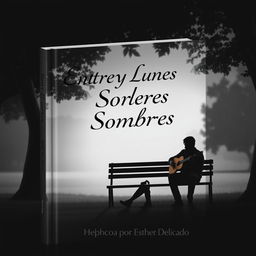 A book cover titled 'Entre Luces y Sombras' that conveys themes of love and heartbreak