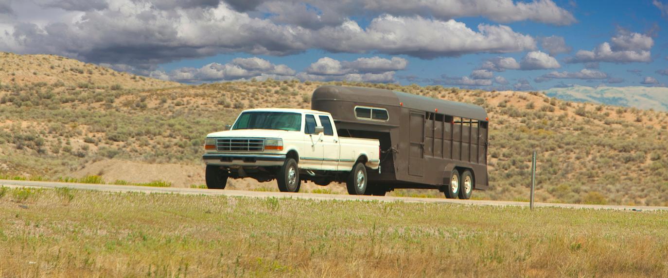 Discover the best tires for your horse trailer with our fun and insightful quiz! Whether you're a seasoned pro or just starting out, we’ll help you make the right choice to ensure a smooth and safe ride for your equine companions.
