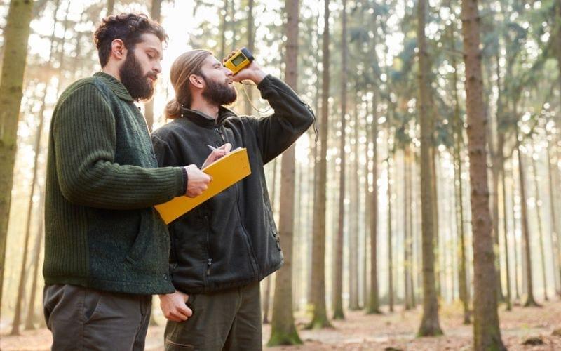 Are you passionate about nature and protecting the environment? Take this quiz to find the ideal online certificate program in wildlife and forestry conservation that aligns with your career aspirations!