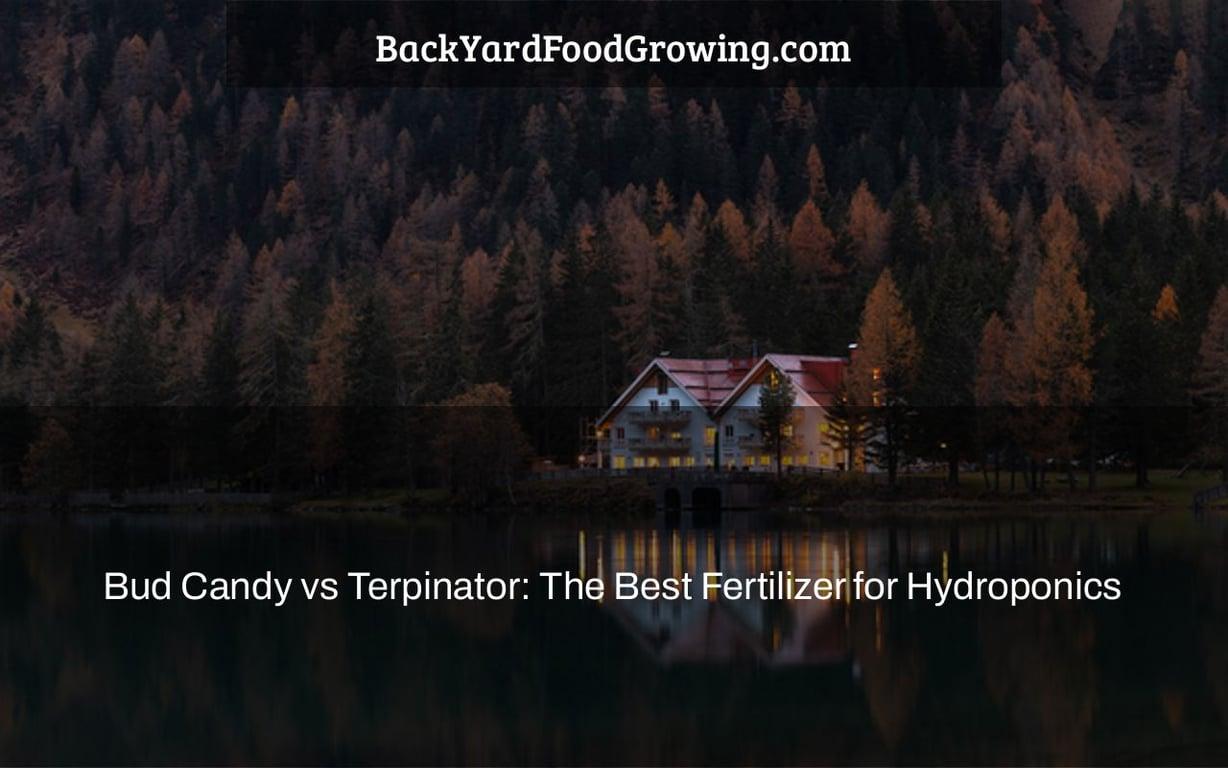 Not sure which hydroponic fertilizer to choose? Take our quiz to discover whether Bud Candy or Terpinator is the best fit for your gardening needs!
