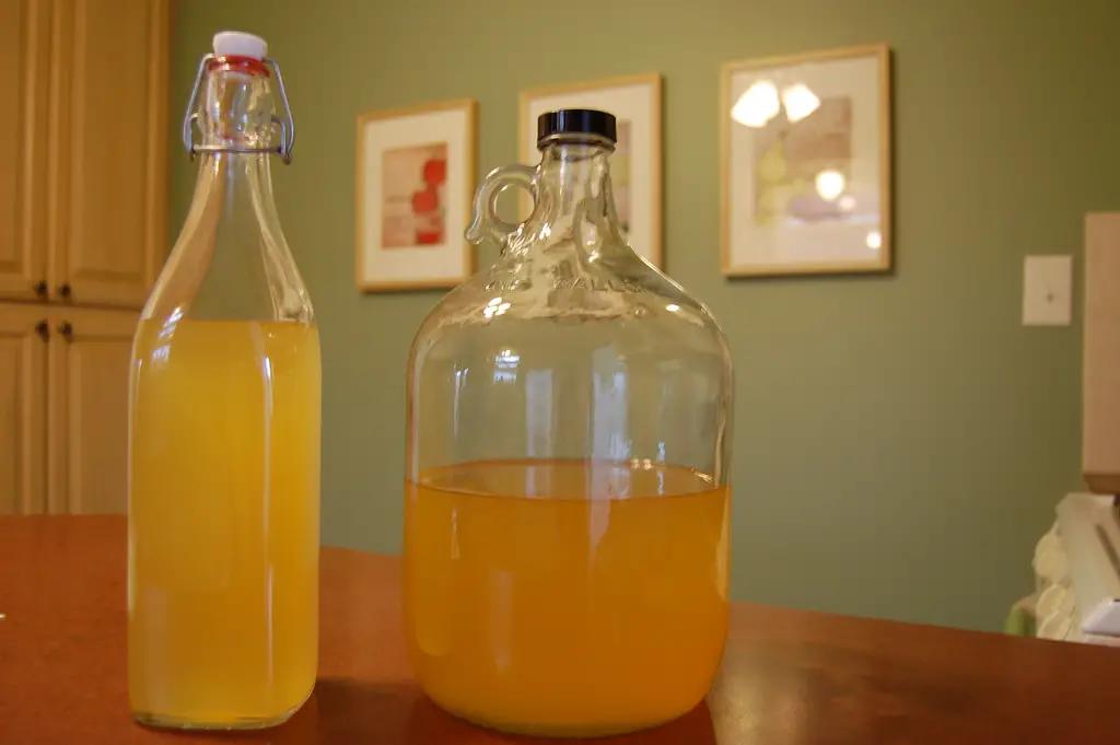 Dive into the world of homebrewing with our fun quiz! Discover which cider brewing kit suits your style and brewing intentions, so you can start crafting your perfect cider today.