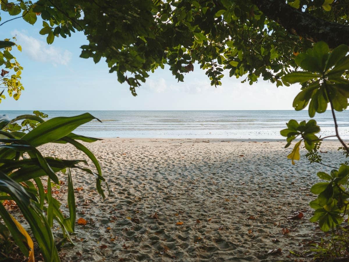 Cape Tribulation offers a variety of stunning camping options, from beachside retreats to jungle hideaways. Take this quiz to discover which camping spot fits your ideal getaway!