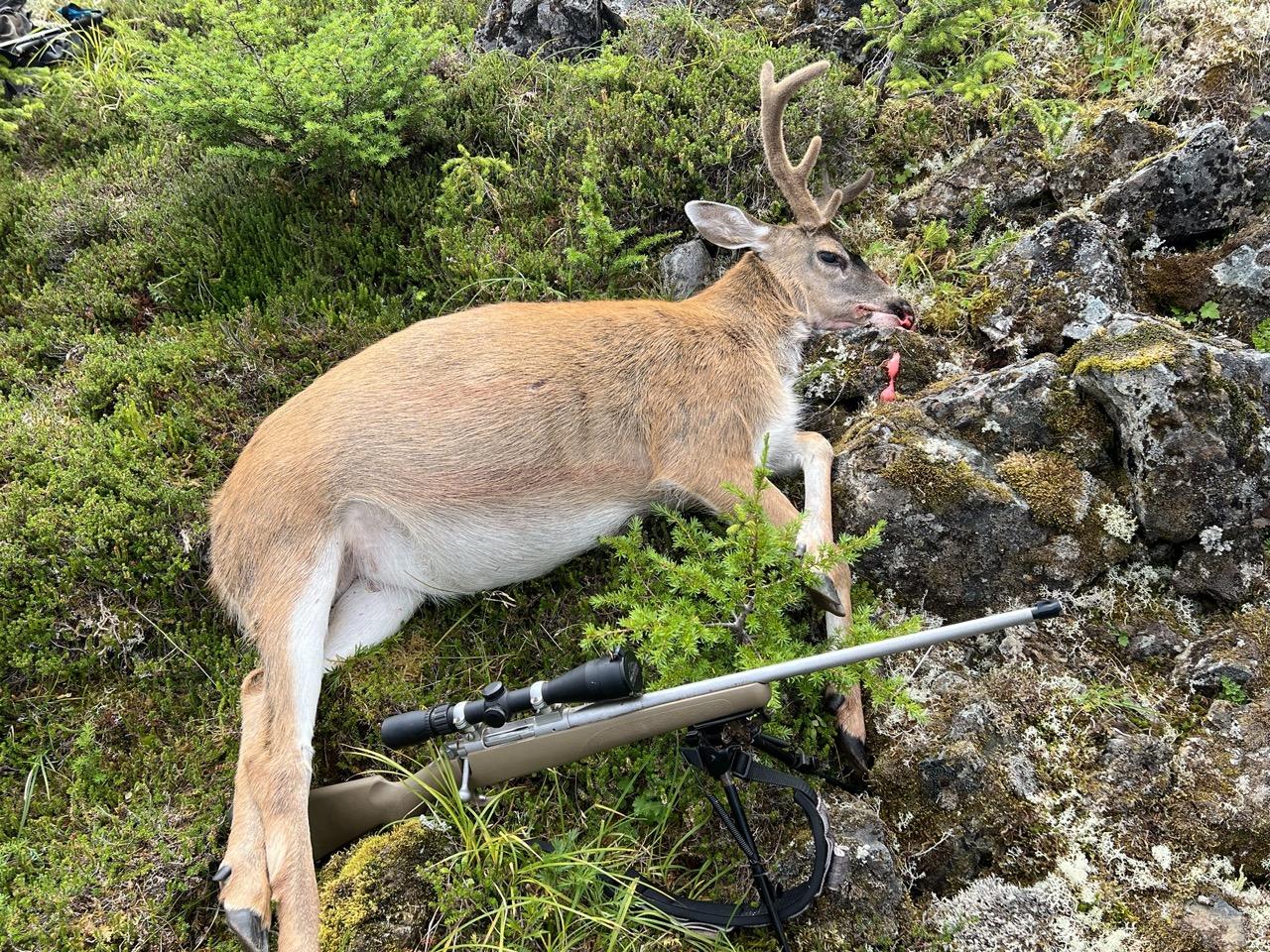 Take this quiz to discover which deer hunting rifle is the best fit for your hunting style and needs!