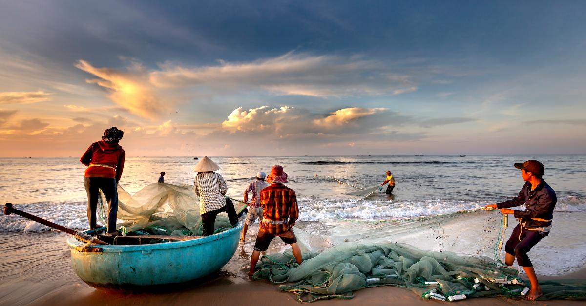 Whether you're a novice angler or a seasoned pro, discover the fishing net that aligns with your style and needs through this fun personality quiz!