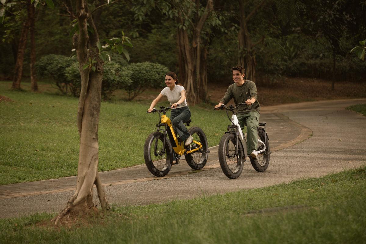 View of Find Your Perfect Long-Distance Electric Bike