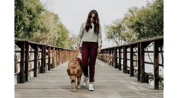 Are you planning a vacation and worried about who will care for your furry friend? Take this quiz to discover which pet sitting service is the best fit for your needs!