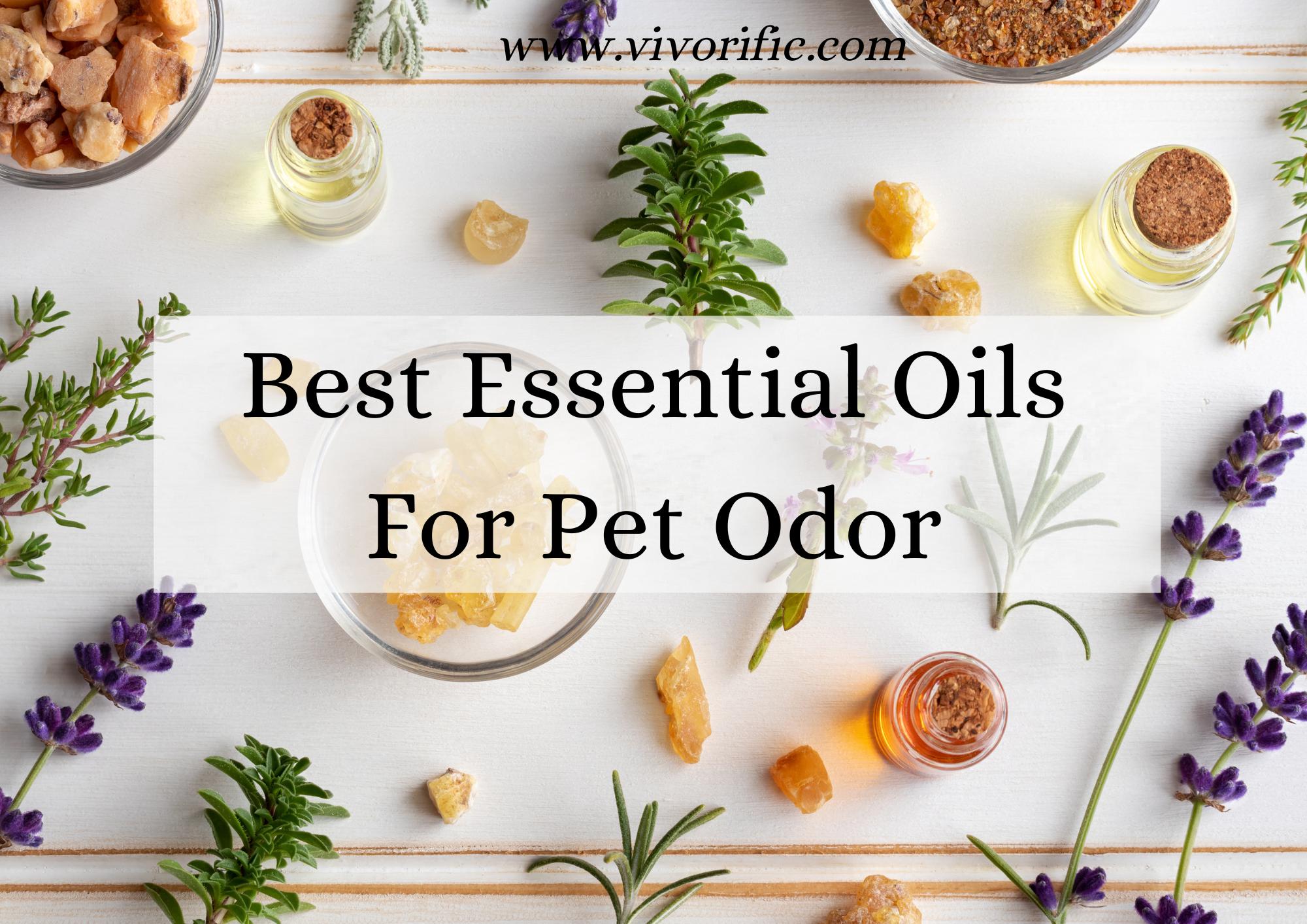 Find the perfect essential oil to keep your home smelling fresh and welcoming, even with your furry friends around!