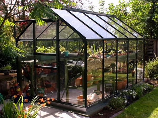 Discover your ideal greenhouse kit based on your gardening style and space! Answer a few questions to unlock the best options tailored just for you.