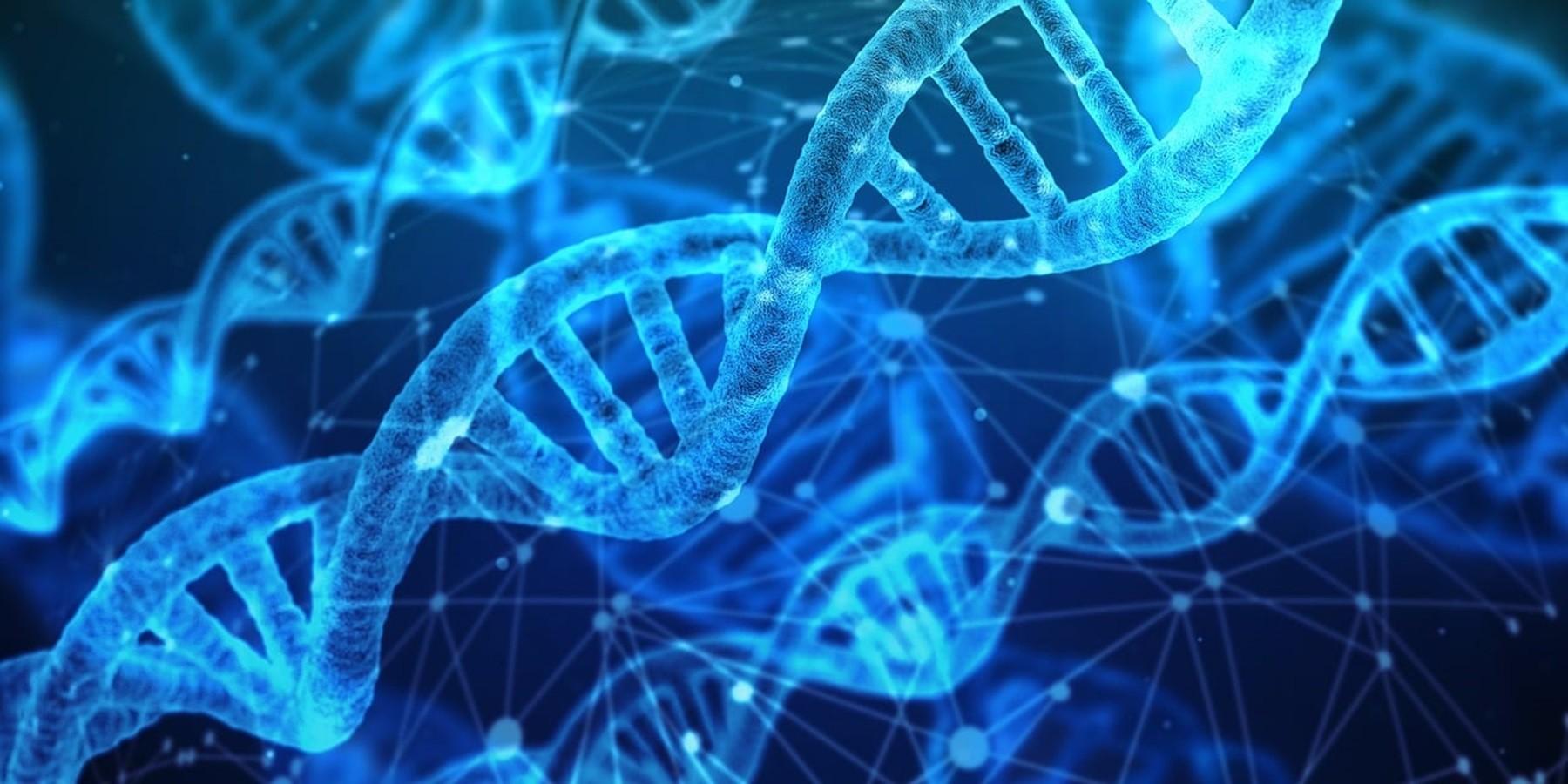 Discover your roots and heritage with the right DNA test! Take our quiz to find out if MyHeritage or Ancestry is the best match for your needs.