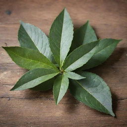 Close-up depiction of yerba mate leaves set against a rustic background.