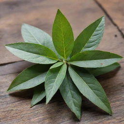 Close-up depiction of yerba mate leaves set against a rustic background.