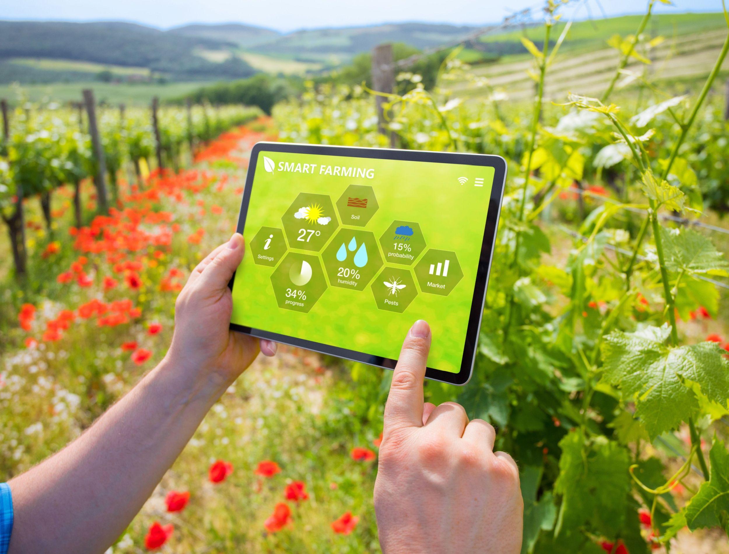 Whether you're a novice gardener or a seasoned pro, the right app can make all the difference. Take this quiz to uncover the planting app that best matches your gardening goals!