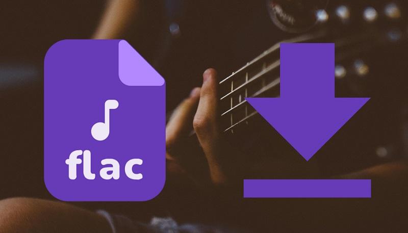 Discover which FLAC music downloader suits your needs best with this quick quiz! Whether you need lossless copies from streaming services or want to explore a treasure trove of tracks, we've got the perfect match for you.