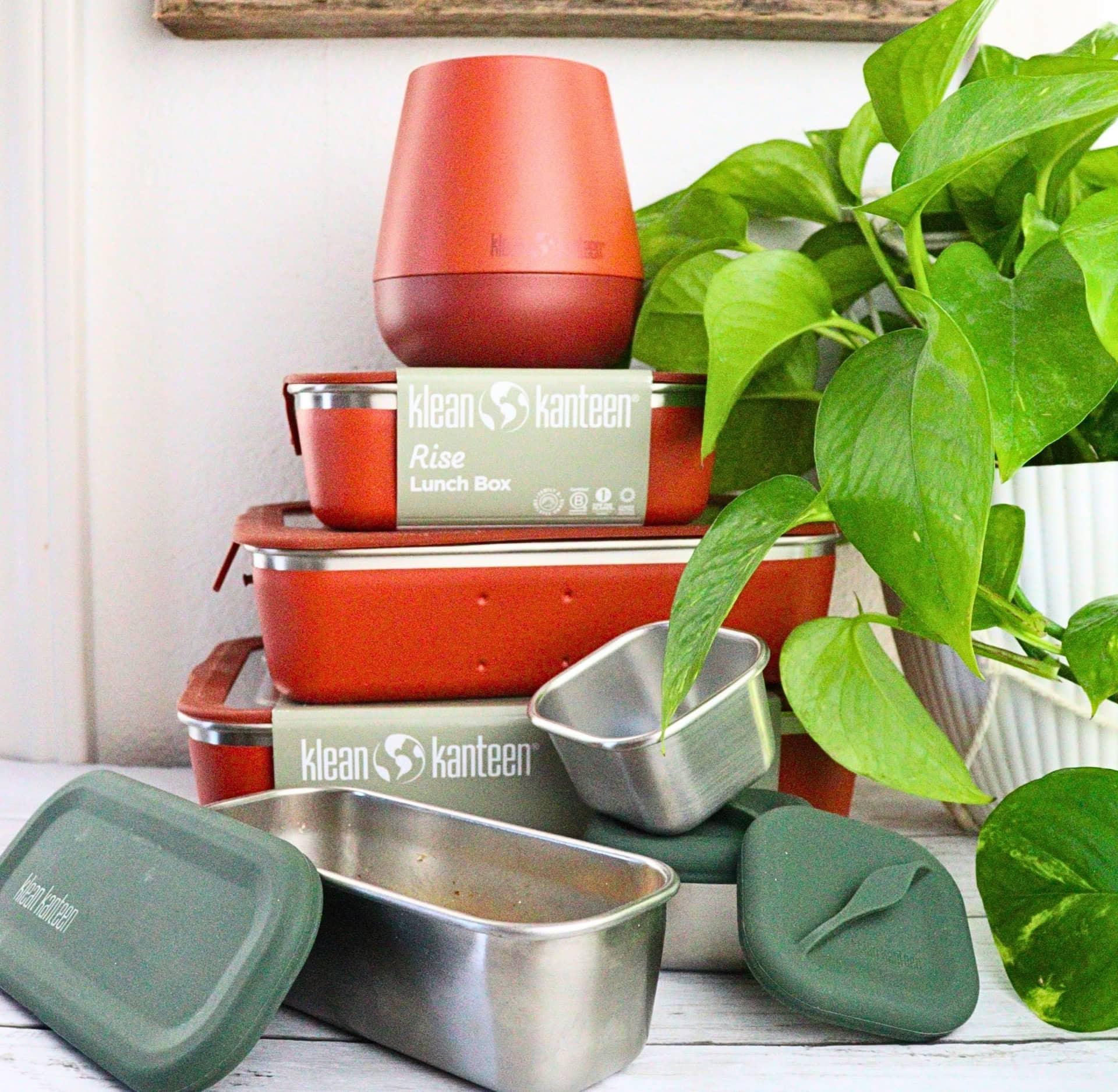Wondering which eco-friendly food storage solution is right for you? Take this quick quiz to discover your ideal non-toxic container!