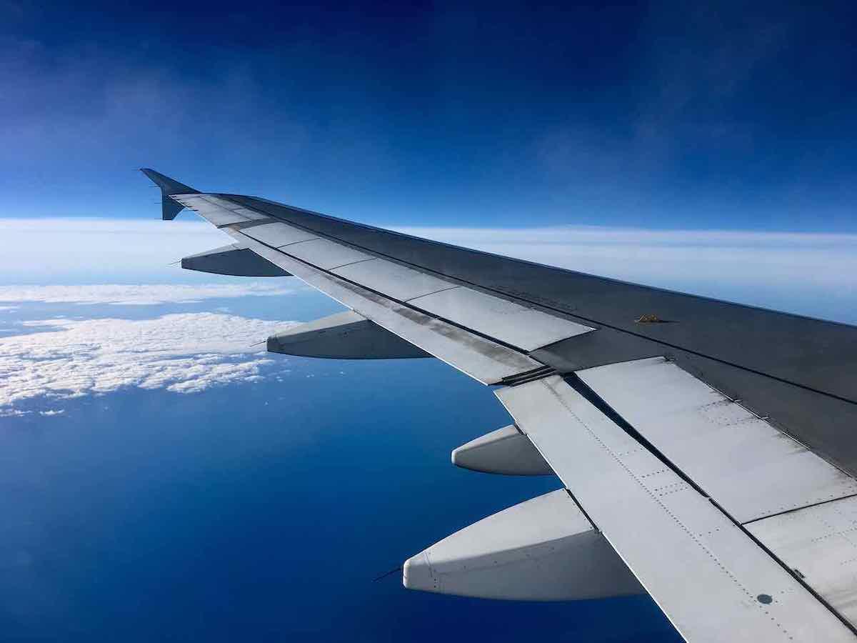 Traveling with your furry friend? Discover which European airlines best suit you and your pet's travel needs with this fun quiz!