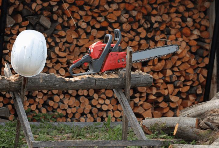 Discover which chainsaw brand suits your gardening style and needs! Are you a weekend warrior or a professional logger? Take the quiz to find your match!