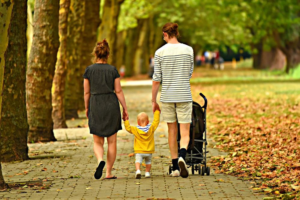 Find out which car insurance provider suits your family's needs and budget best with our quick quiz!