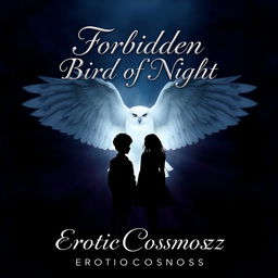 A mystical dark fantasy and romance book cover featuring a striking scene with an all-black shadow of a boy and girl standing in front of each other, creating an air of mystery and allure