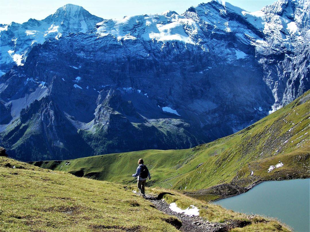 Ready to conquer the mountains? Take this quiz to discover which alpine hiking shoe suits your adventure style best!