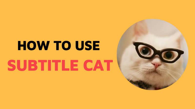 Unlock the world of video translation and reach a global audience! Take this quiz to discover which translation tool best suits your needs.