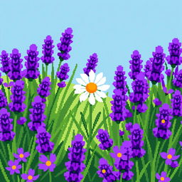 A charming pixel art scene depicting a single daisy growing amidst a field filled with vibrant lavender flowers