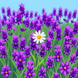 A charming pixel art scene depicting a single daisy growing amidst a field filled with vibrant lavender flowers