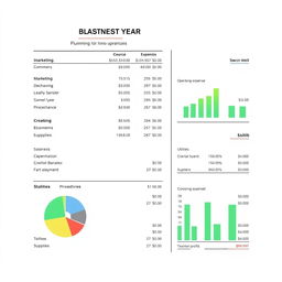 A comprehensive budget plan for a business, detailing income streams, operating expenses, and projected profits for the upcoming year