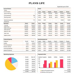 A comprehensive budget plan for a business, detailing income streams, operating expenses, and projected profits for the upcoming year