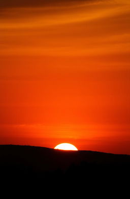 A beautiful sunset scene featuring a vibrant orange background