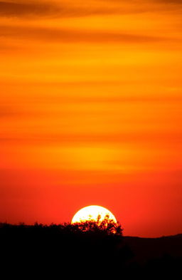 A beautiful sunset scene featuring a vibrant orange background