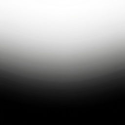 A beautifully smooth gradient background transitioning seamlessly from pure white at the top to pitch black at the bottom, with a soft and harmonious blend that creates an elegant and calming effect, perfect for enhancing any subject placed upon it