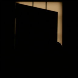 A silhouette of a woman with straight, mid-length short hair, standing with her back facing the viewer in front of a door