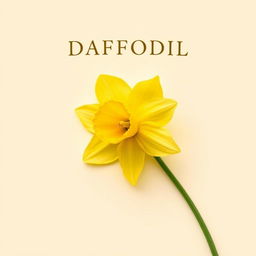 A vibrant daffodil flower gracefully displayed on a light cream background