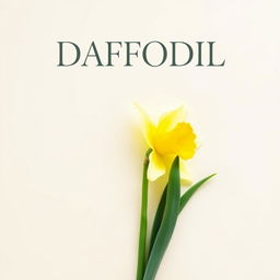 A vibrant daffodil flower gracefully displayed on a light cream background