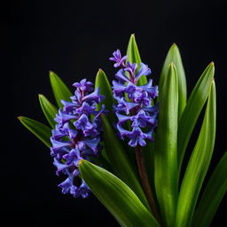 A stunning book cover design featuring vibrant water hyacinth flowers that stand out against a rich, dark background