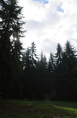 A serene forest scene under a cloudy sky, with tall, lush green trees swaying gently in the breeze