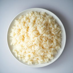 An artistic representation of a plate of plain biryani rice viewed from above