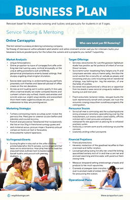 A detailed business plan for a service-based educational company focusing on online tutoring and mentoring for students of all ages
