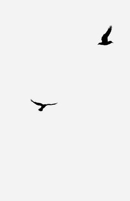 A minimalist scene featuring simple silhouettes of birds gracefully flying against a clean, white background