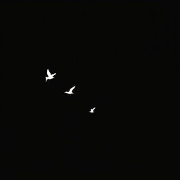 A minimalist scene showcasing several birds flying against a deep black background