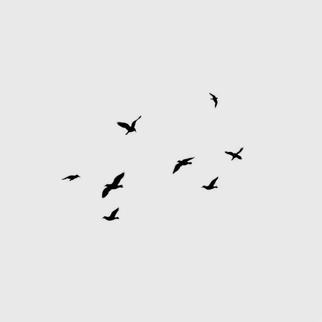 A minimalist scene featuring several birds flying against a soft grey background