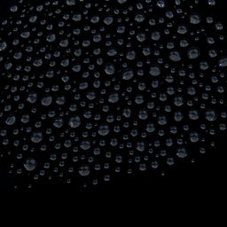 A mesmerizing arrangement of numerous small water droplets delicately placed against a pitch black background