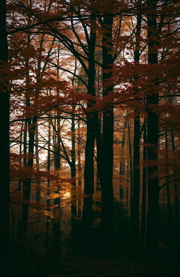 A Scottish forest in autumn, filled with tall trees adorned with vibrant leaves in warm tones of orange, red, and yellow