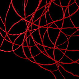 A captivating image of vibrant red threads elegantly intertwined against a stark black background