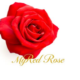 A stunning, vibrant red rose positioned prominently in the center of the image, surrounded by a clean, bright white background