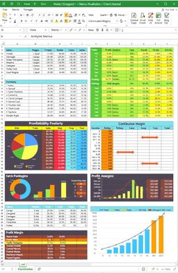 An informative and well-organized MS Excel spreadsheet layout for Menu Engineering and Menu Analysis